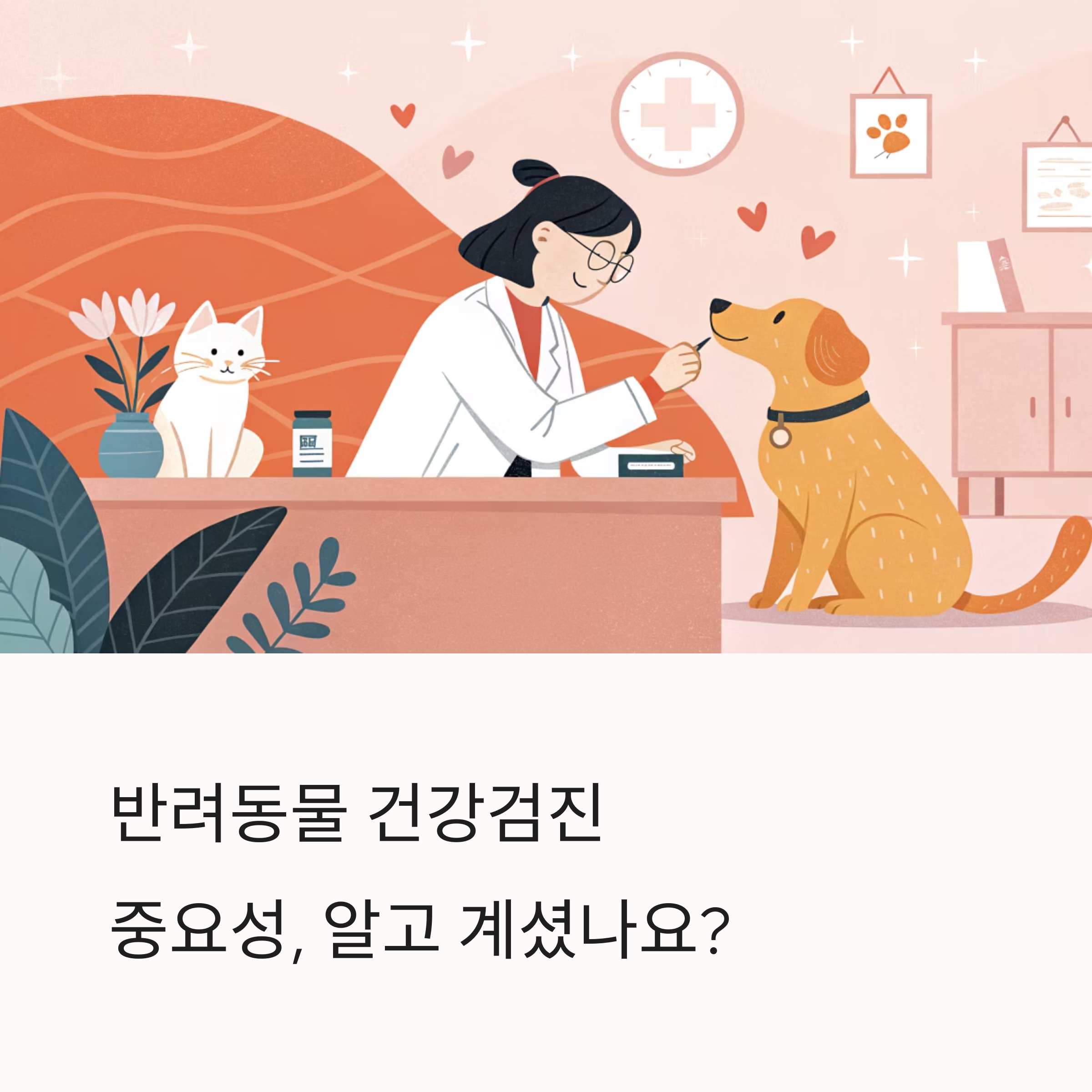 반려동물 건강검진, 얼마나 자주? 어떻게 준비할까?