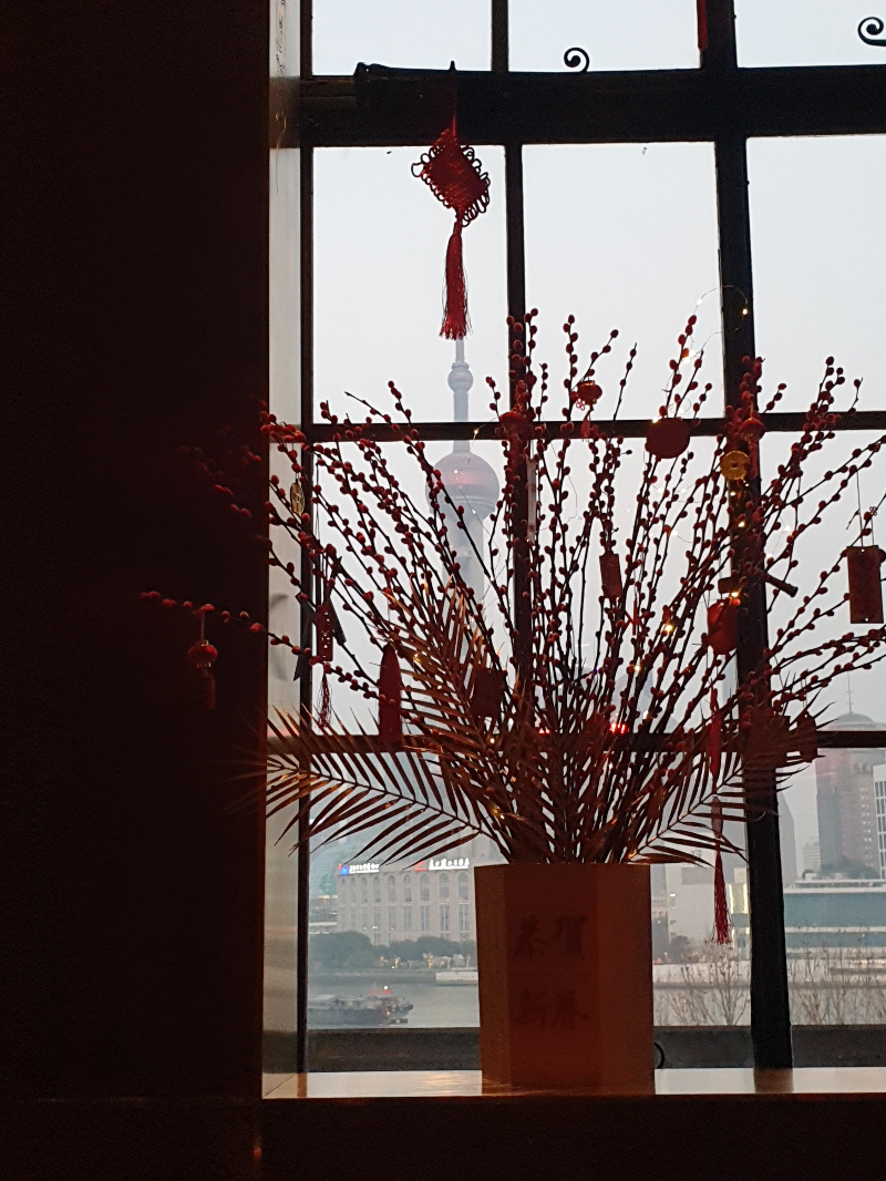 창 너머 동방명주가 보인다. 다만 창에 놓인 화분이 뷰를 가린다.