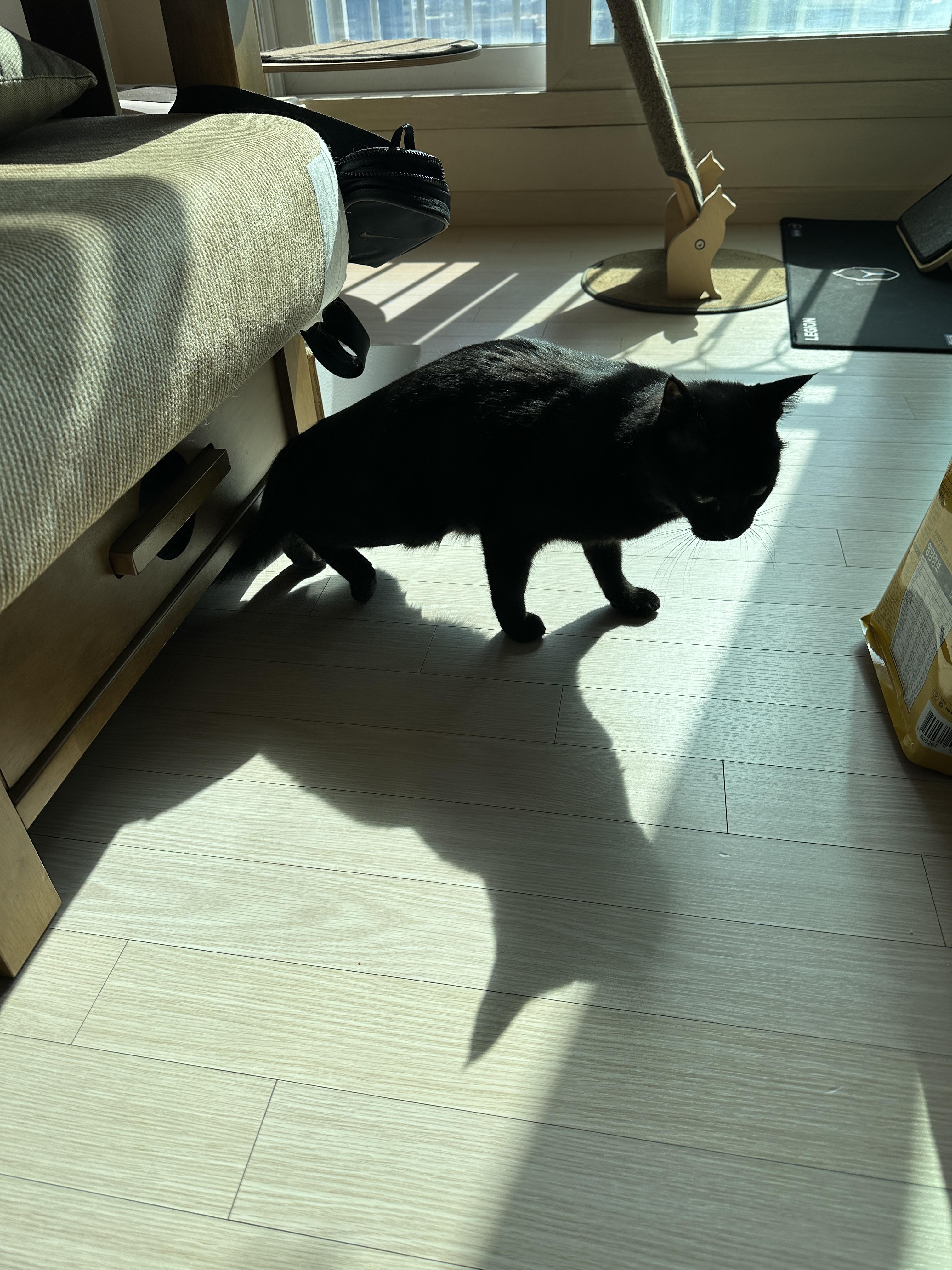 소파_아래에서_기어나온_건이