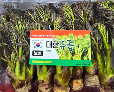 대한두릅