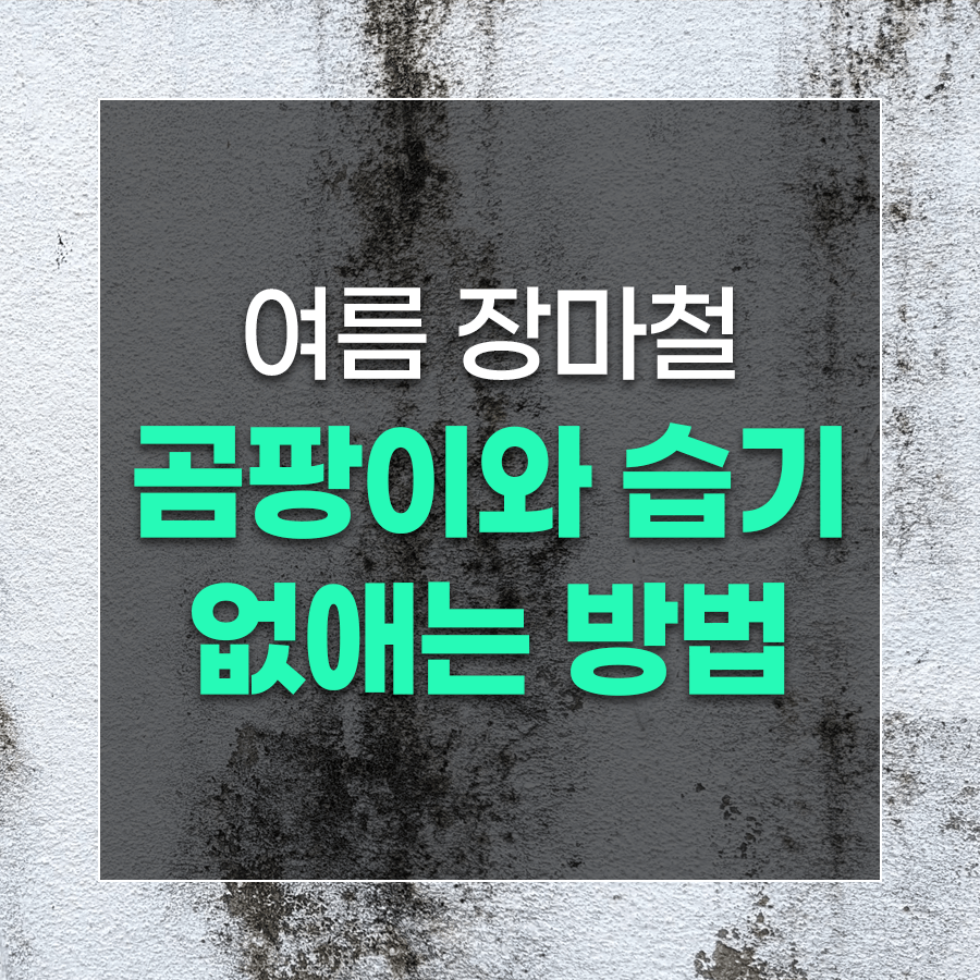 여름 장마철 곰팡이와 습기 없애는 방법