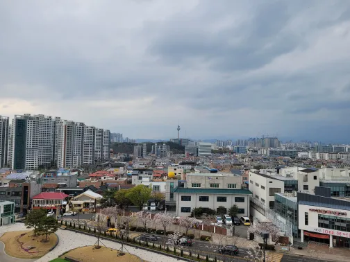 두류타워와 대구 시내 전경