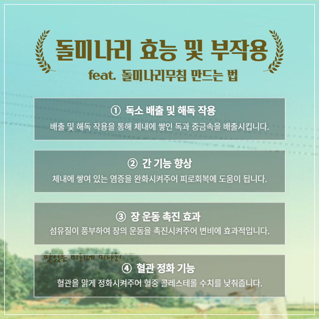 돌미나리 효능 및 부작용 ❘ 돌미나리 무침 만드는 법 썸네일