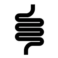 장 건강 개선 사진