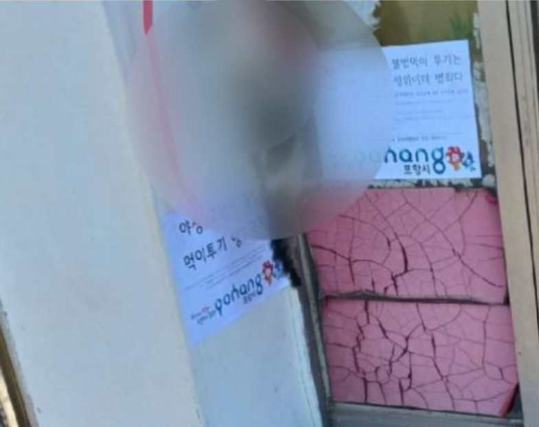 고양이살해범-새끼고양이-매달아둔모습