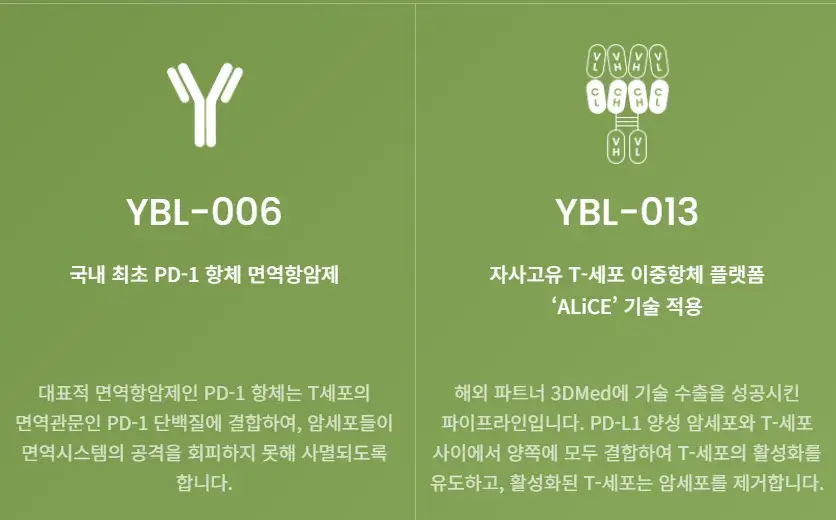 와이바이오로직스 공모주