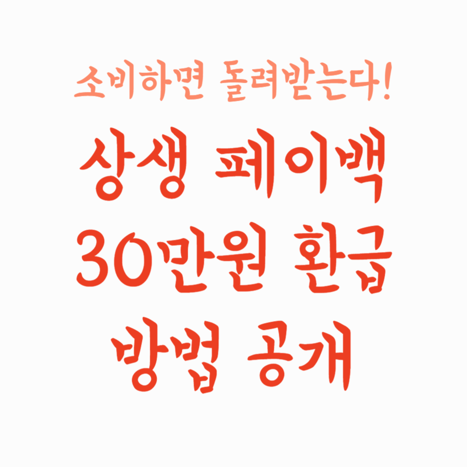 소비하면 돌려받는다! 상생 페이백 30만원 환급 방법 공개