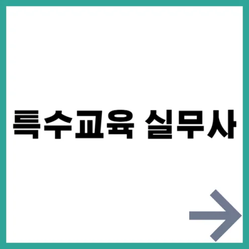 특수교육 실무사