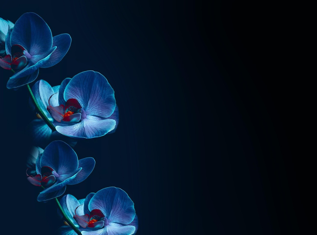 우주에서 자라는 식물은 지구보다 더 클까, 작을까?