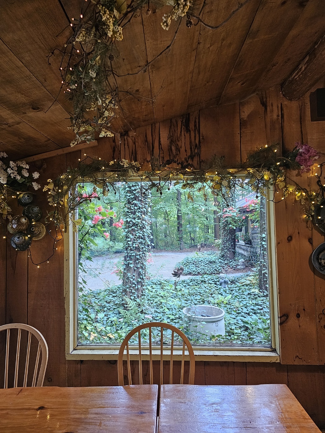 The Green Frog Tea Room