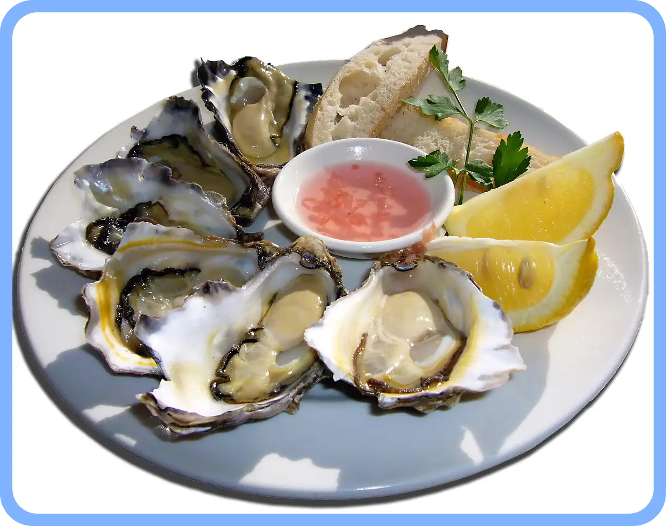 멸치젓 새우젓 굴 천일염 김장 재료 할인 세일 50% 코리아 수산 페스타