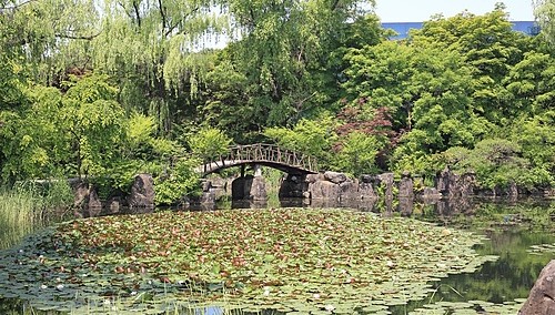 파주 벽초지수목원 완벽 가이드: 드라마 촬영지에서 만나는 사계절 포토존 천국
