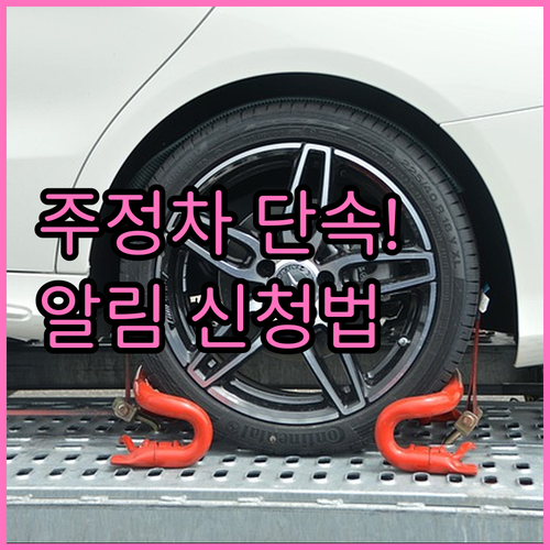 일산서구 주정차 단속 알림 신청 방법..