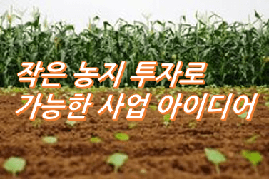작은-농지-투자로-가능한-사업-아이디어