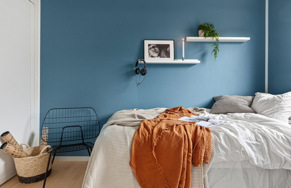 집 구조별 반려식물 배치 가이드