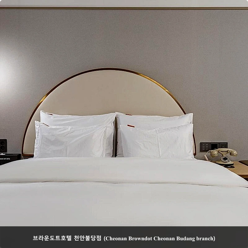 브라운도트호텔 천안불당점 (Cheonan Browndot Cheonan Budang branch)_1