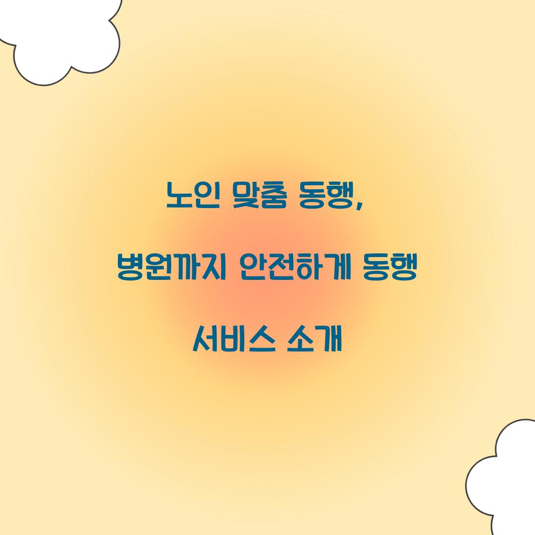 노인 맞춤 동행