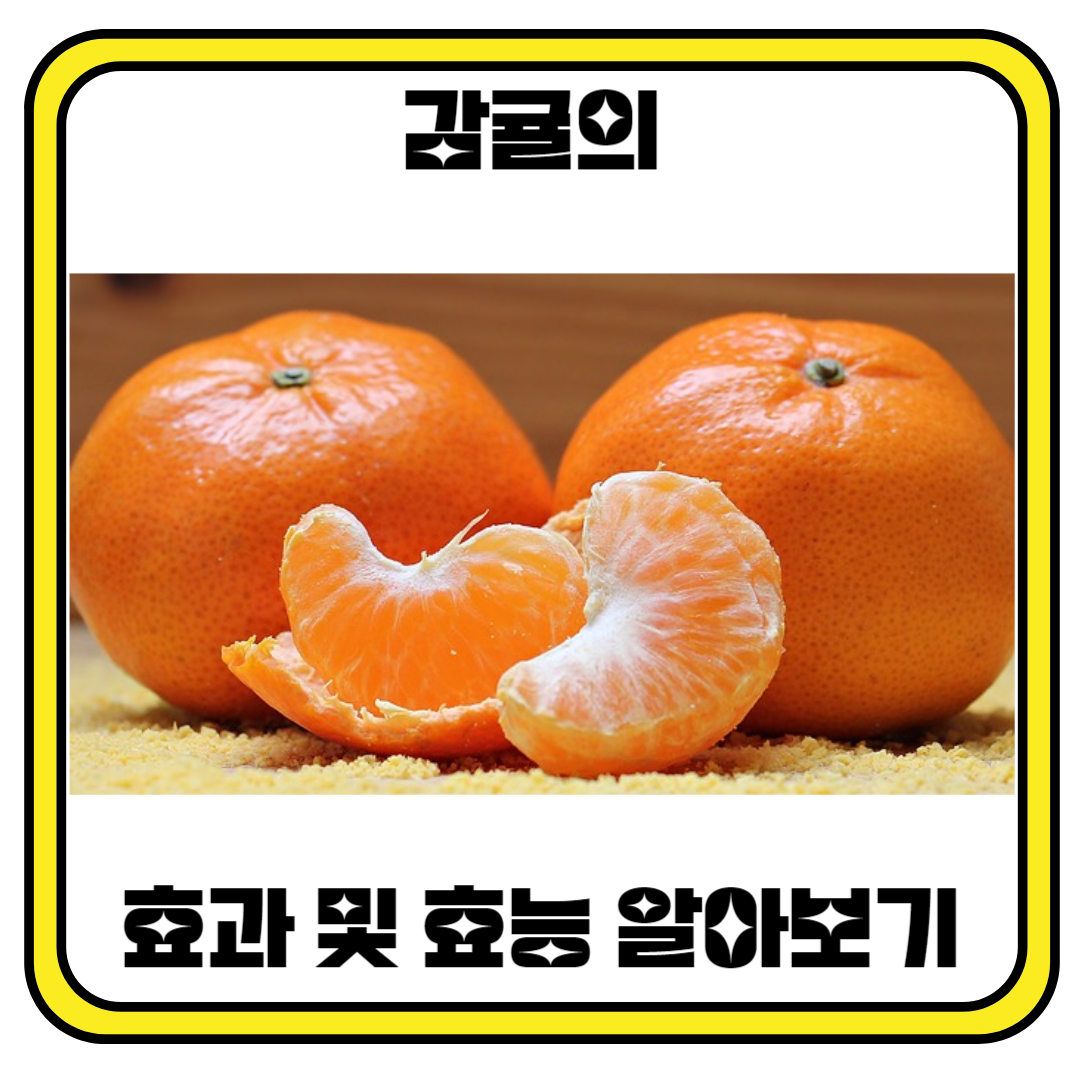 감귤의 효과 및 효능