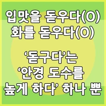 입맛을 돋우다 돋구다 맞춤법 표현 예시_13