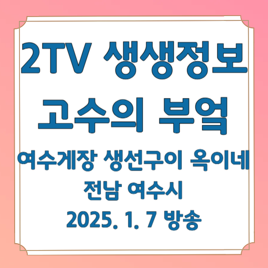 2TV 생생정보 고수의 부엌