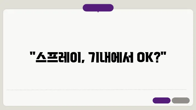 스프레이 기내 반입