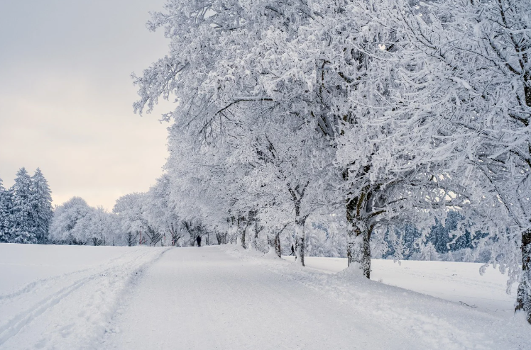 Discover Korea’s Winter Festivals and Events