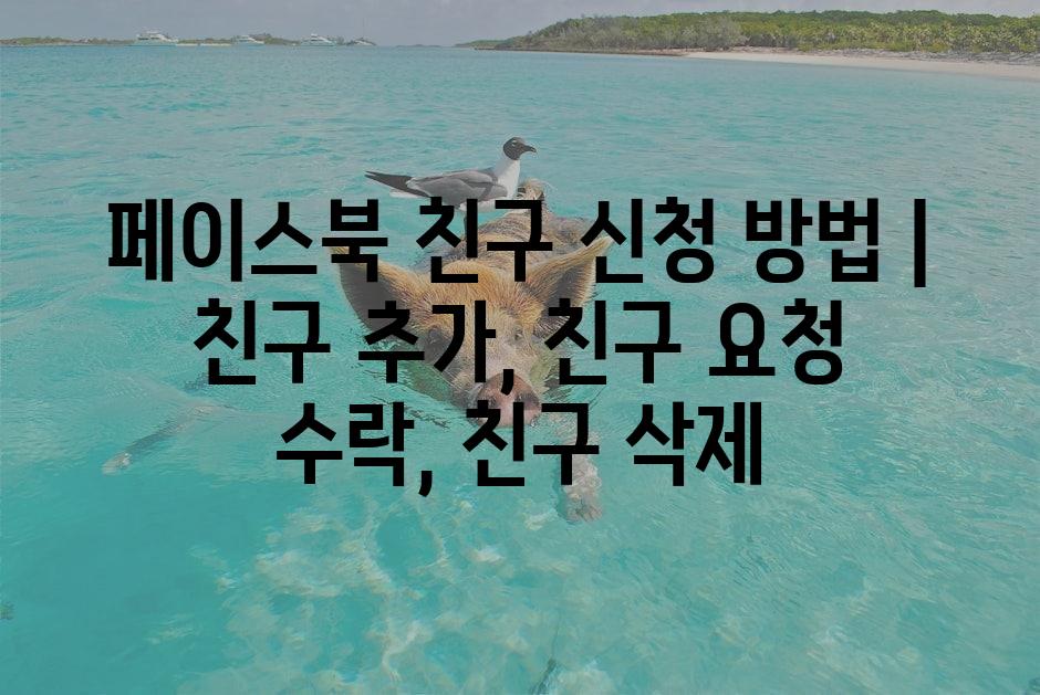 샘플 (1)