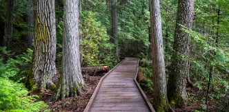 경북 산불 긴급 재난지원금 신청하기 관련사진