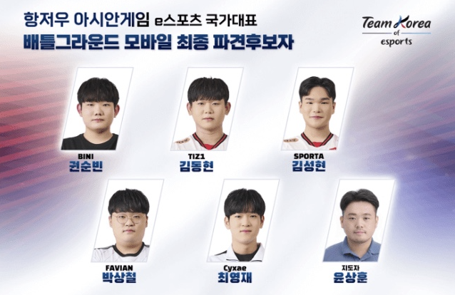 배틀그라운드 모바일 대표팀