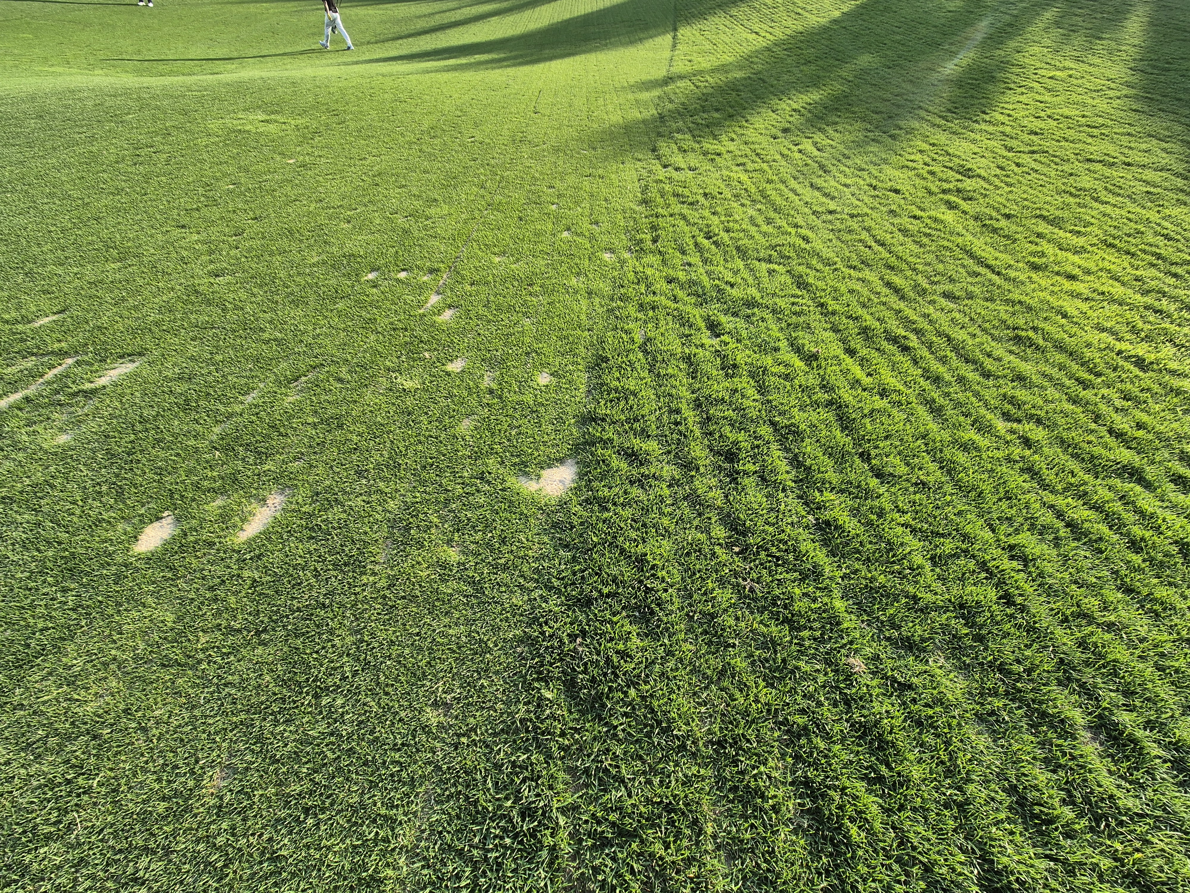 베어크리크cc 크리크코스