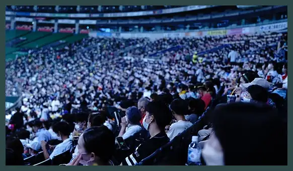 2024 프리미어12 결과 (한국 일본 대만 야구)