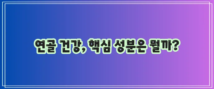 연골에 좋은 영양제 이제 자세히 알아볼까요