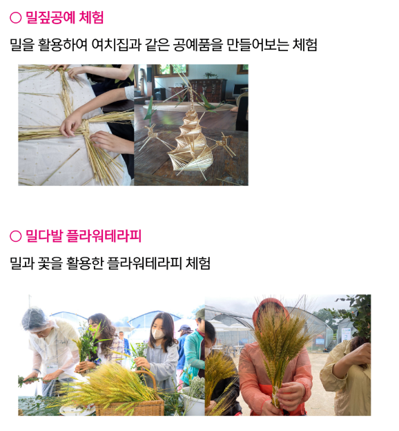 양평 밀 축제