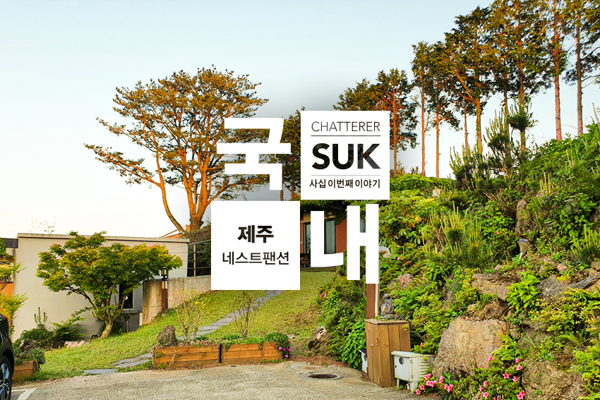 네스트-1