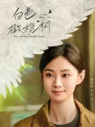 OTT 다시보기 백색감람수 등장인물 정영진