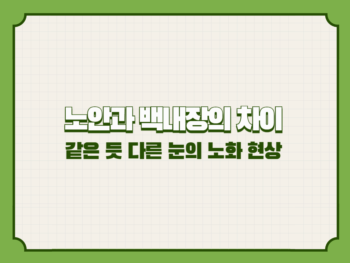 노안과 백내장의 차이 – 같은 듯 다른 눈의 노화 현상