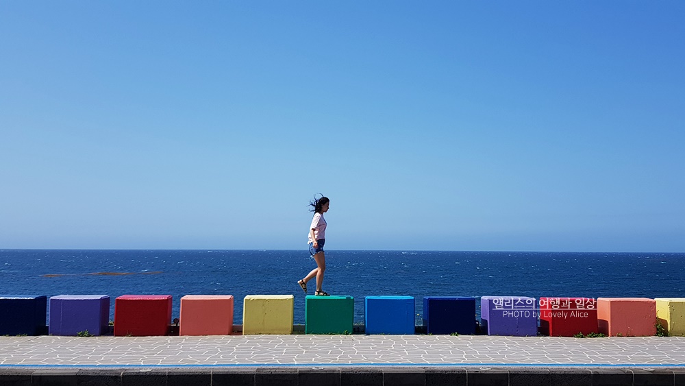 제주 앨리스 앤 트렁크 호텔 주변 제주공항 근처 가볼만한곳 BEST 10