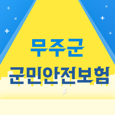 무주군 군민안전보험