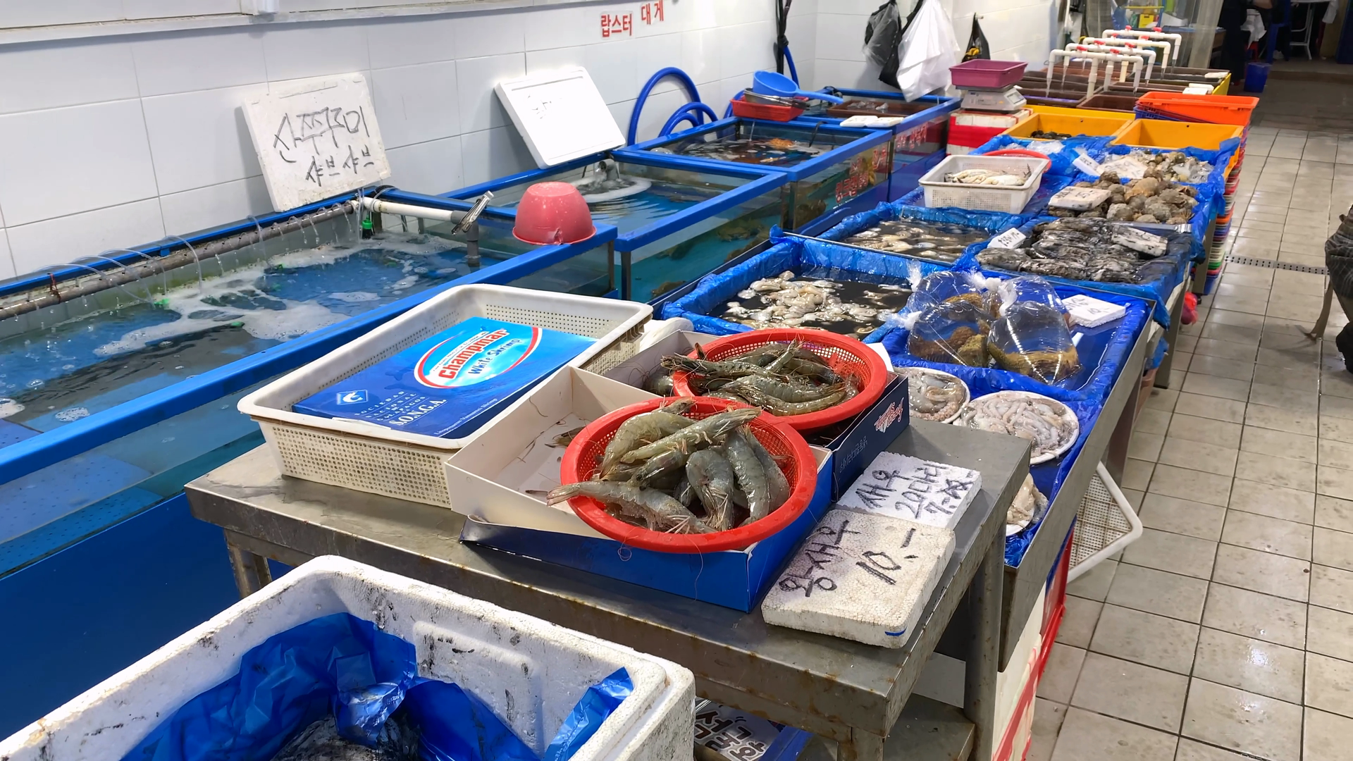 왕새우 산쭈꾸미 샤브샤브