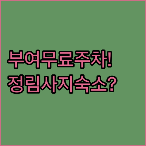 부여 중앙로 상가거리 무료 주차 팁과..