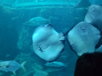 7월 여행지 추천