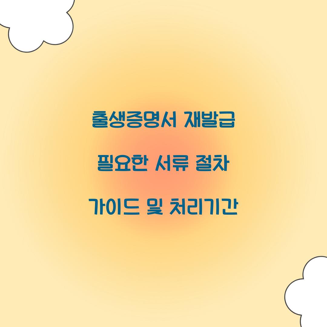 출생증명서 재발급
