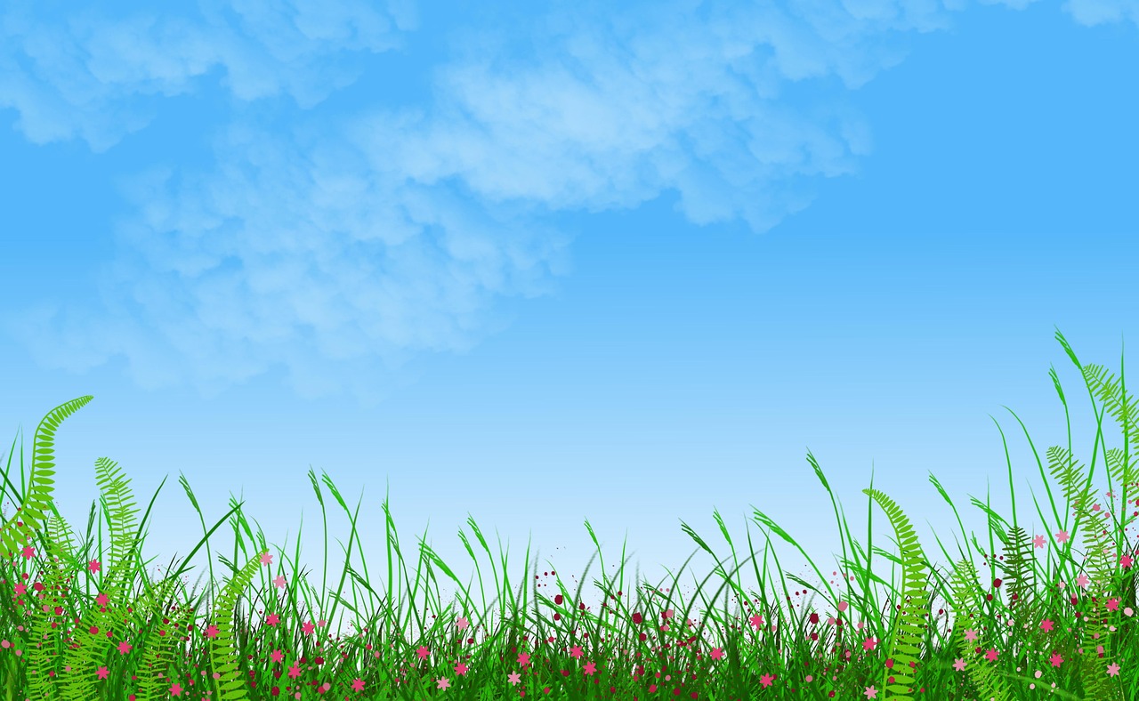 플랜테리어 관련 사진