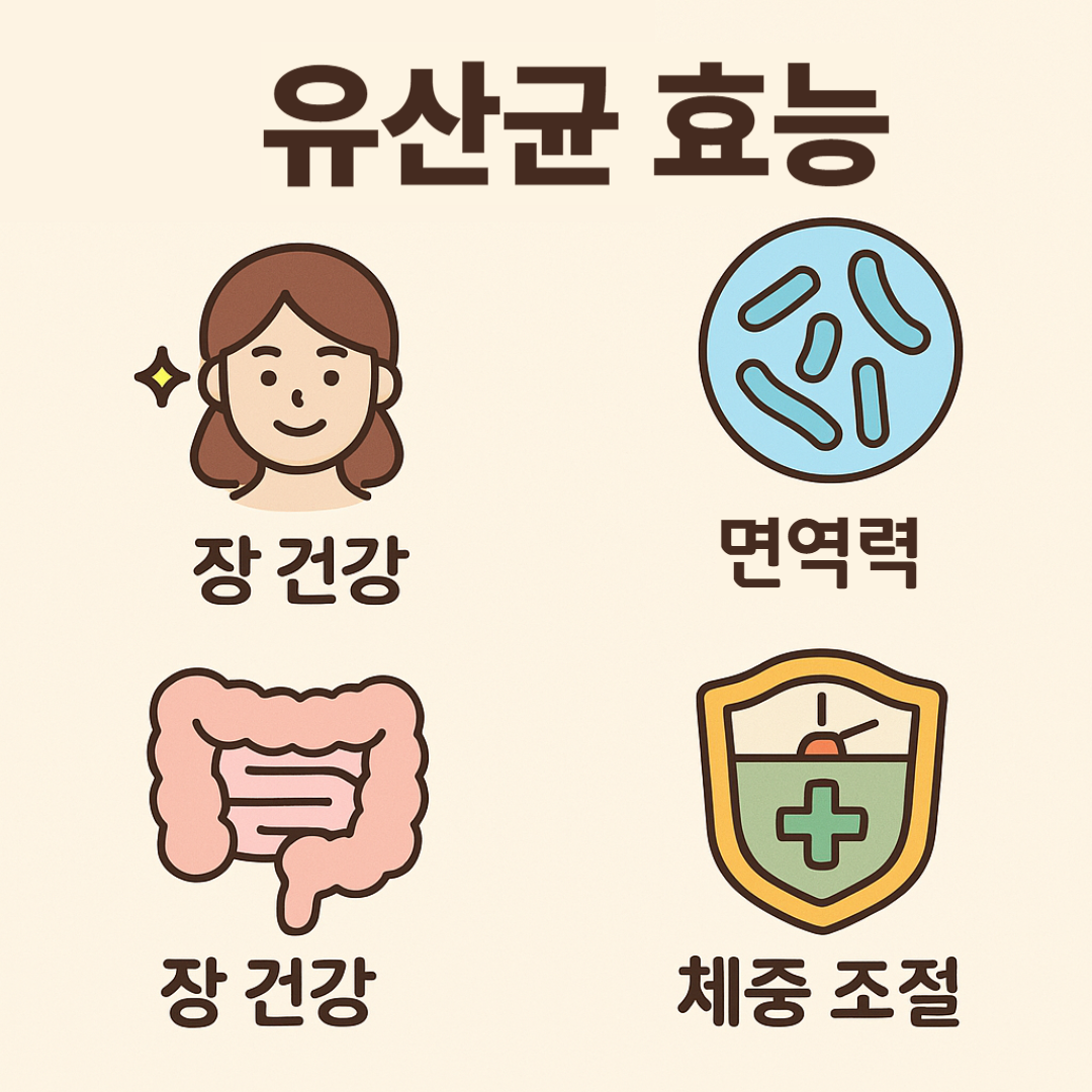 유산균효능에 대한 썸네일 이미지