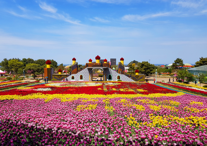 태안세계튤립꽃박람회
