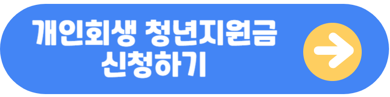 개인회생 청년지원금