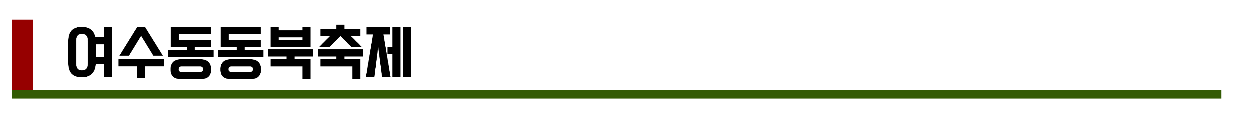 2024년 11월, 12월 축제 총정리