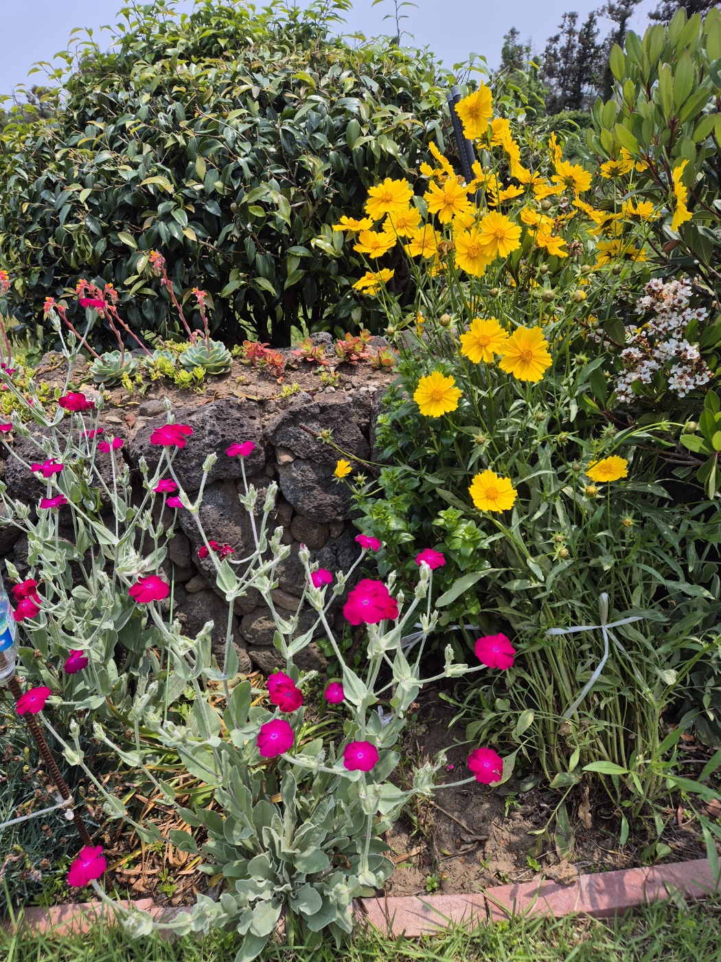 노인일자리 종류와 조건&amp;#44; 지금 확인하세요