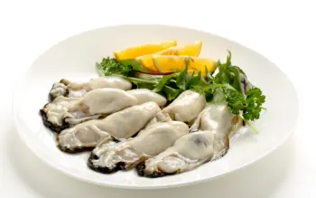 통영굴 직거래 가격&amp;#44; 효능 및 영양성분 부작용