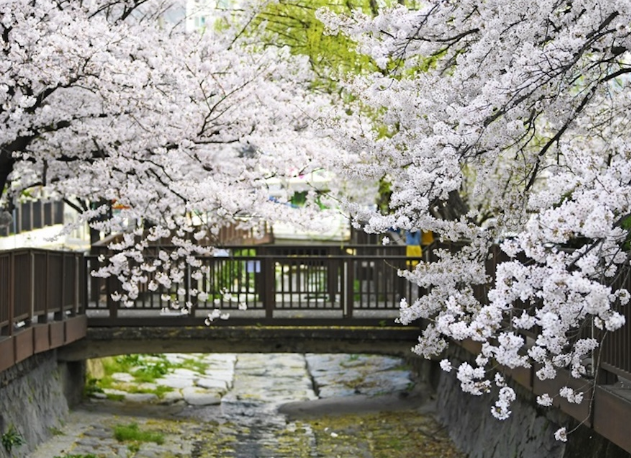 진해 가볼만한곳 베스트10